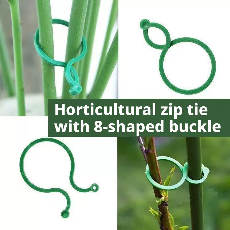 100 Clips de Suporte para Plan - Vine Climbing Plastic avaliação e preço