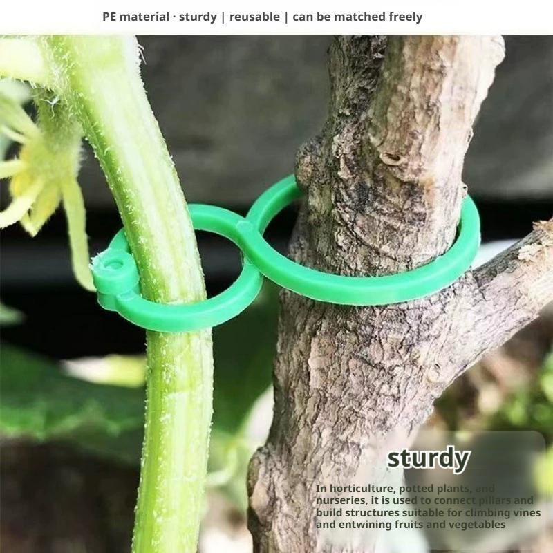 100 Clips de Suporte para Plan - Vine Climbing Plastic avaliação e preço