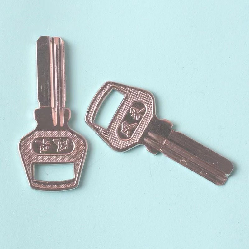 20 Peças - Chaves Virgens para - Glass Door Hinge avaliação e preço