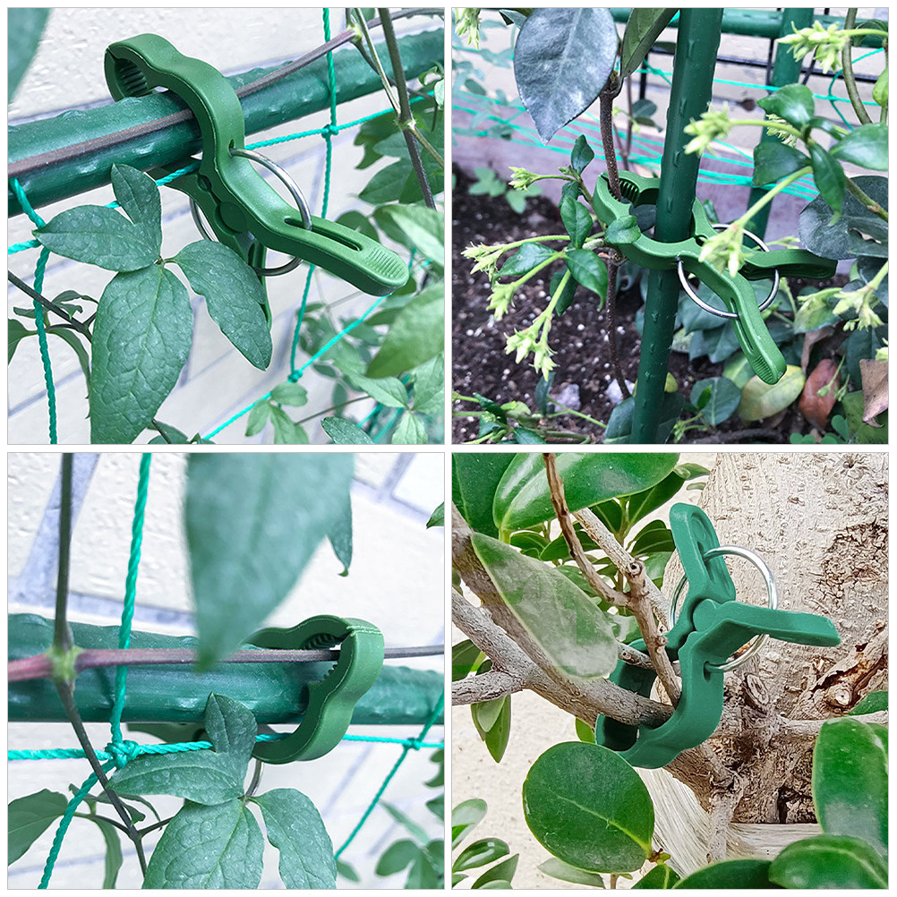 60 unidades de clipes de supor - Vine Climbing Plastic avaliação e preço